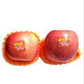 新全新红富士苹果500克/斤 均色