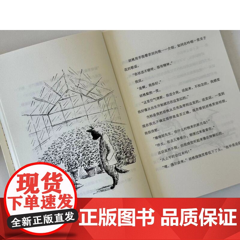 海猫的旅程·6-10 全5册 儿童文学 冒险故事 北京科学技术高清大图