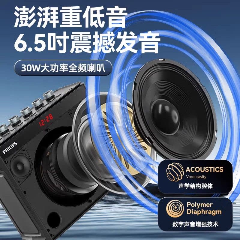 飞利浦SD139音响蓝牙户外小音箱大音量手提便携式家用k歌重低音便携式音响图片