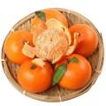 【鲜贝达】沃柑精品果5斤装【单果60mm】VC 橙子