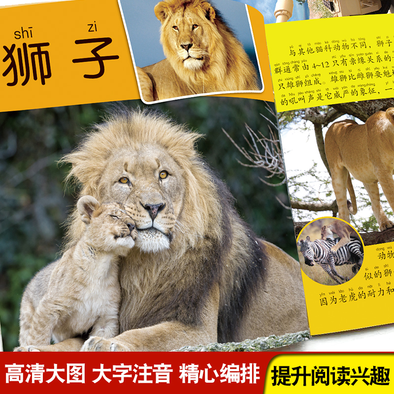 [选3件39元]飞机百科 [正版]动物百科全书幼儿大百科全套注音版科普小百科绘本读物科学启蒙认知幼儿少儿儿童3-6-8-高清大图