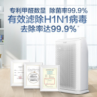 AO史密斯(A.O.Smith)家用除甲醛除雾霾细菌PM2.5 甲醛精确数值显示 新居空气净化器KJ455F-C15-F