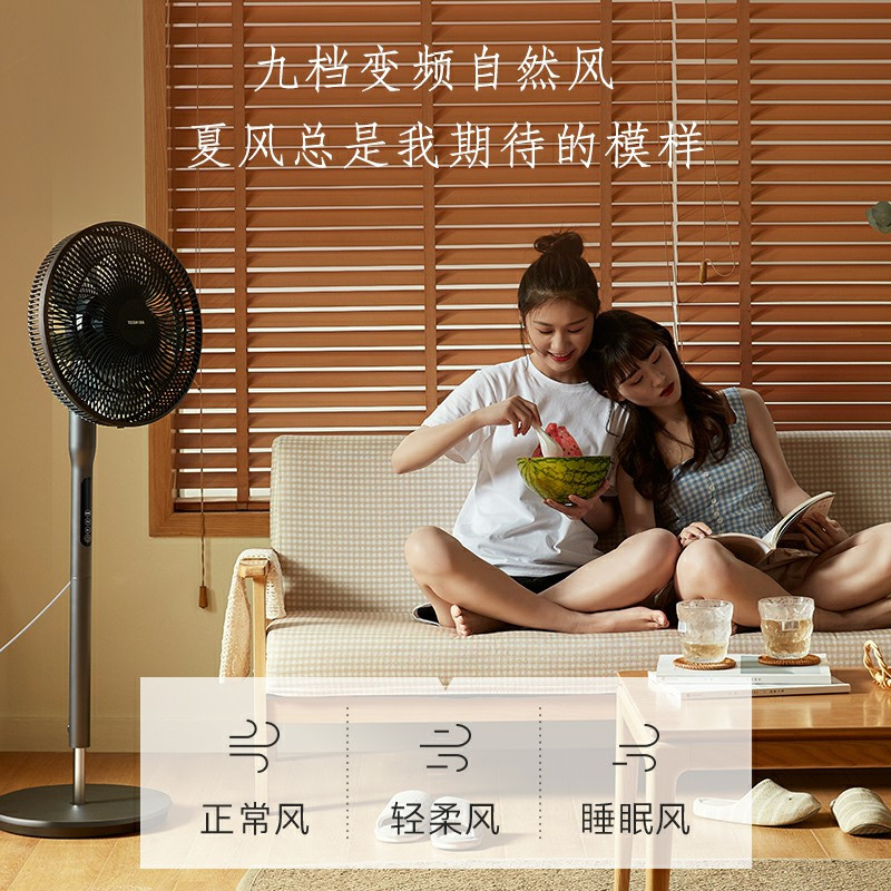 东芝(TOSHIBA)F-DSX35BR风柔音轻变频自然风遥控摇头母婴适用安全家用电风扇办公室亲肤节能扇空气循环扇落地扇