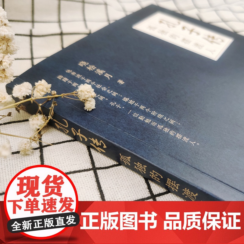 孔子传:孤独的摆渡人 晓松溪月 江苏凤凰文艺出版社 正版书籍高清大图