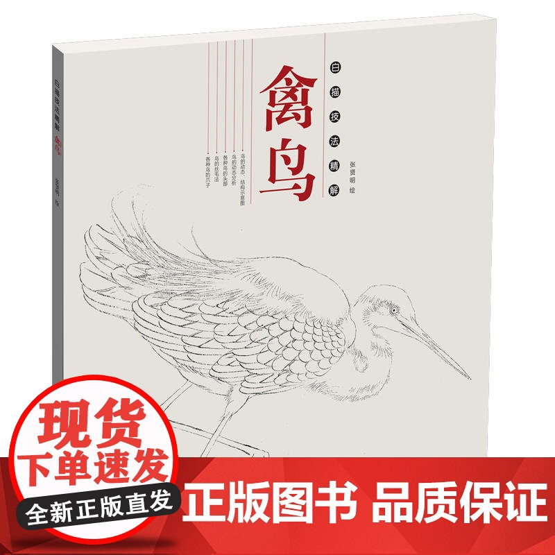 白描技法精解·禽鸟高清大图