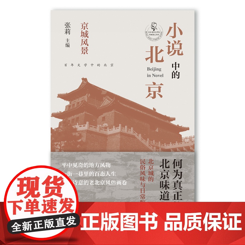 小说中的北京 京城风景(张莉教授主编,北京城的民俗风味与日常腔调,小说中的老北京民俗画卷) 张莉 主编 北京十高清大图