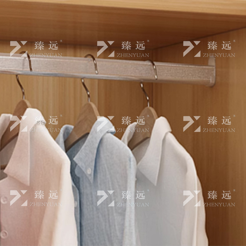 臻远 ZY4022319简约木质衣柜衣服收纳柜 浅胡桃色双门