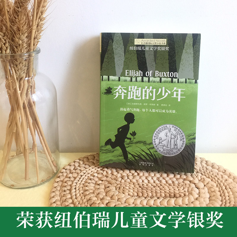 奔跑的少年 [正版]奔跑的少年 长青藤国际大奖小说书系列 9-14岁儿童文学故事书 中小学生课外阅读书籍456年级课外阅高清大图
