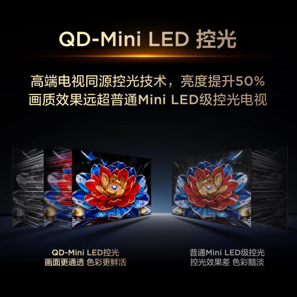 TCL电视 75T5M Plus 75英寸 QD-Mini LED控光 360Hz超高刷 QLED量子点 安桥音响 图片 3