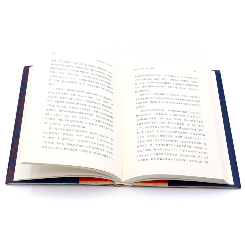[正版]印度次大陆(文明五千年)(精)高清大图