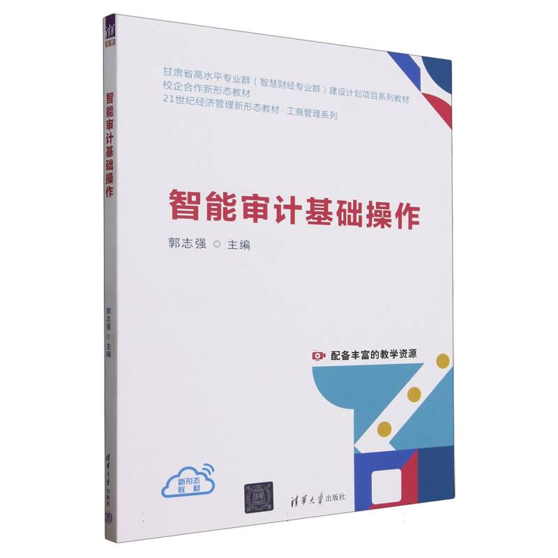 正版新书]智能审计基础操作(21世纪经济管理新形态教材)/工商管高清大图