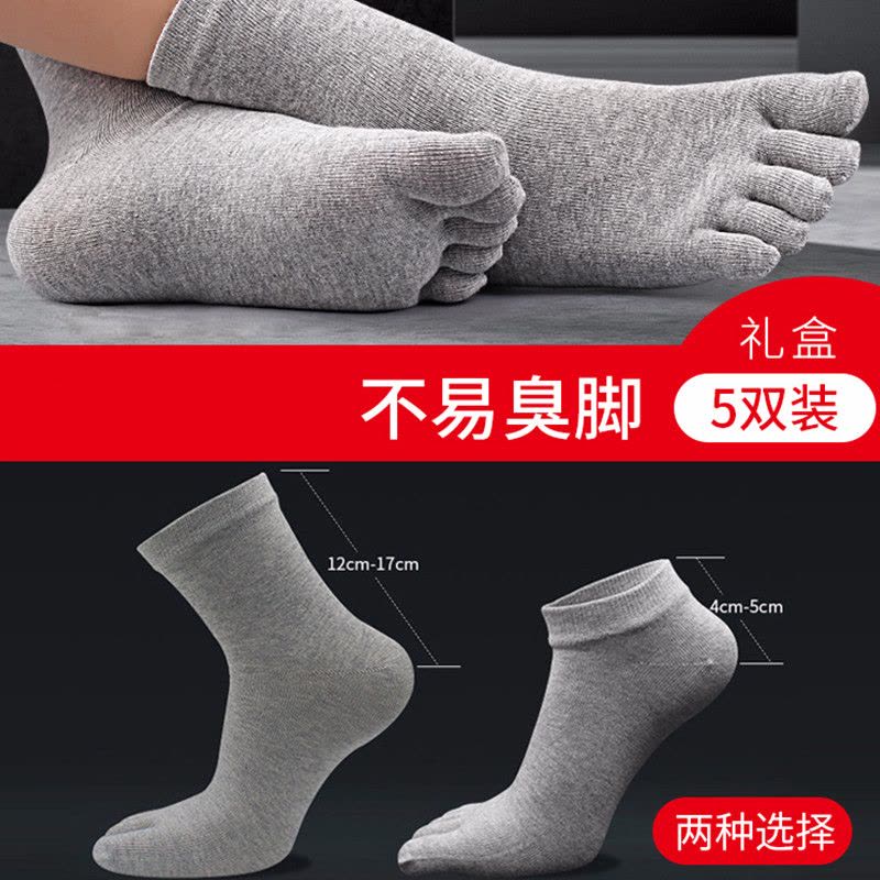 恒源祥 夏季男士纯棉五指袜中筒分趾棉袜薄款短袜子四季透气袜 BY图片