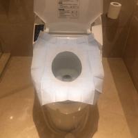 旅行便携旅行用品蓝加白一次性马桶垫纸孕产妇无纺布50片