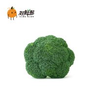 立丰高钙肉松90g
