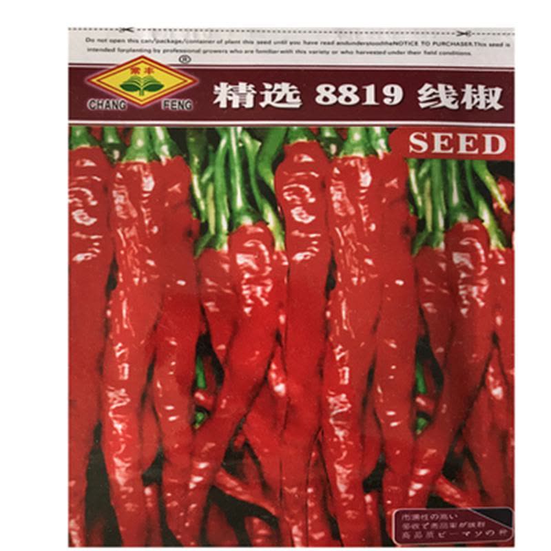 精选8819线椒种子籽辣椒精选四季盆栽阳台高产园艺农家蔬菜种孑 农望辛香12号线椒原装千粒图片