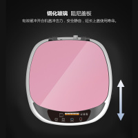 小天鹤 XQB56-888 5.6公斤KG全自动婴儿童家用 迷你洗衣机 母婴衬内衣 非变频小波轮洗衣机 粉红色