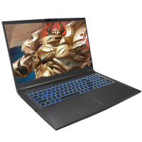 机械革命（MECHREVO）蛟龙P AMD 17.3英寸游戏本笔记本电脑定制版本(R7-4800H 32G 2TB固态 RTX2060 6G 72高色域 144HZ)