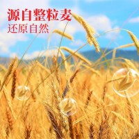 想念全麦粉2kg 含麦麸全麦面粉家用包子 馒头 花卷 烙饼小麦粉