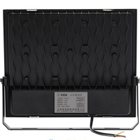 亮思能 LED投光灯 超薄户外泛光灯 射灯 LSN-lSC /个(100W)
