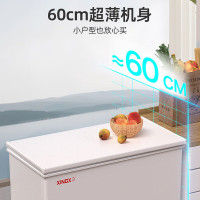 星星(XINGX)BD/BC-303QE家用小型冰柜 卧式冷柜预涂内胆单温厨房商用保鲜设备303升自动减霜1级能效