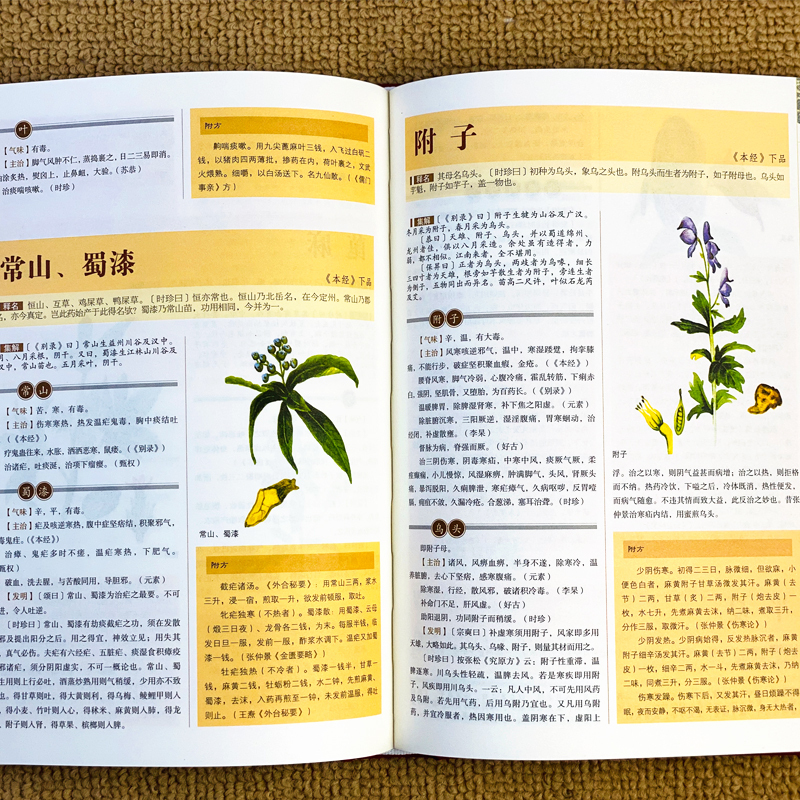 [正版]彩绘版布面精装本草纲目中医名著国学金典李时珍原版原著彩图版白话文养生书图文对照中医中草药中药大全书籍中国医书典