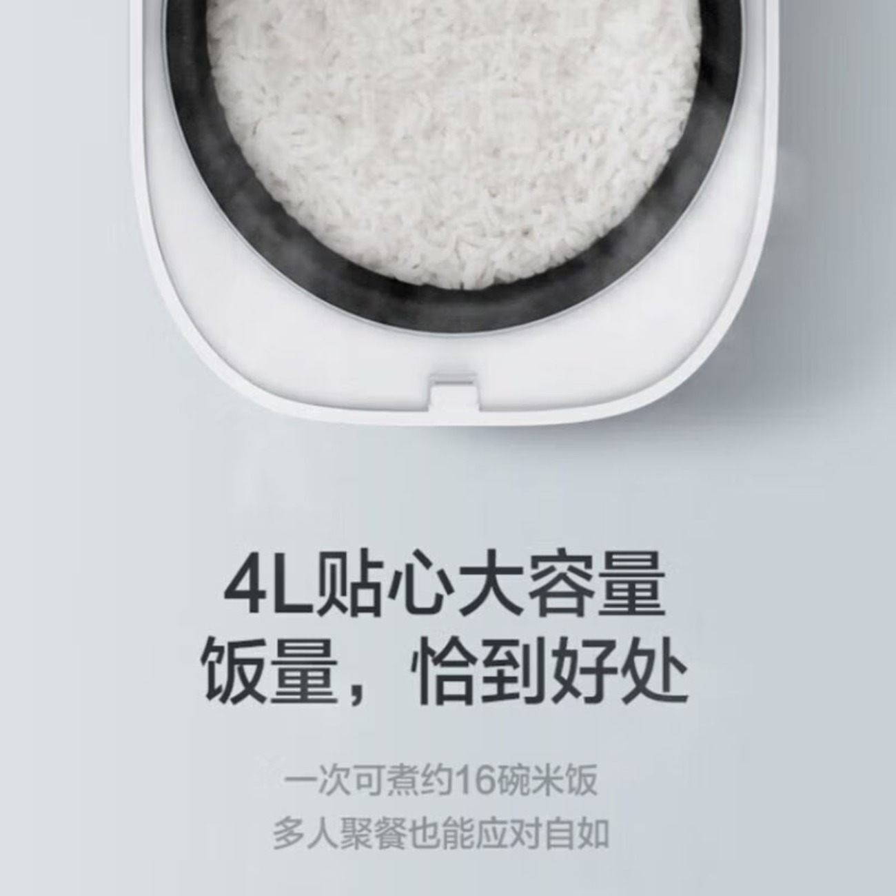 格力(GREE)电饭煲家用格力(GREE)电饭煲家用4L多功能智能预约电饭锅四升3-4-5人大容量蒸饭锅GDF-4022高清大图