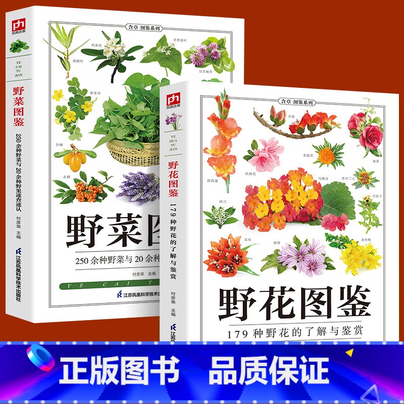 【正版】全2册野菜图鉴+野花图鉴常见花卉园林植物识别图鉴野外野菜识别速查图鉴植物特性药学图鉴植物花草识别图解食疗书籍