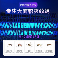 [补贴10%]志高灭蚊灯灭蝇灯苍蝇捕捉器室内家用餐厅饭店驱蚊神器电蚊子蚊蝇