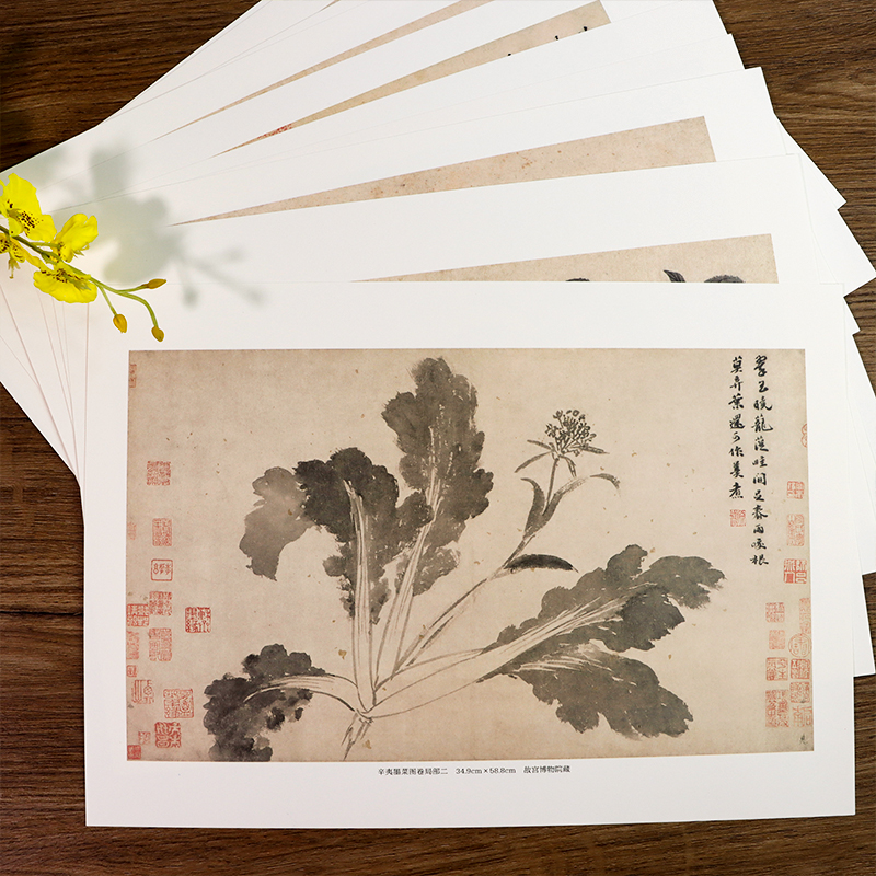 花鸟篇5册 [正版]湖山画谱 沈周花鸟画谱/山水画谱 单片散装/册页立轴兼有/散页盒装高清还原/可临摹鉴赏装饰收藏 沈周高清大图