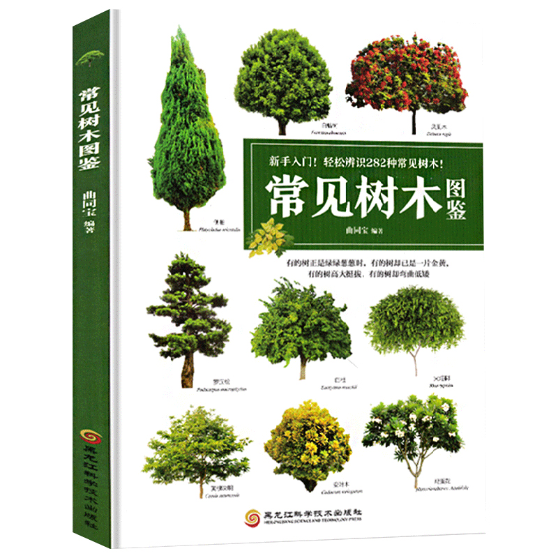 [正版]新手入门轻松辨识常见树木图鉴 大自然植物乔木灌木盆栽盆景园林绿化树木鉴赏识别书籍学生自然百科普全书中国花草树木图高清大图