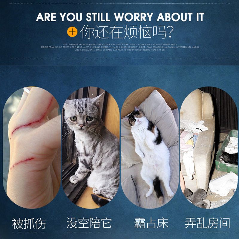 猫爬架猫抓板猫咪训练互动 半圆猫爬架猫咪跳台宠物猫咪休闲玩具c