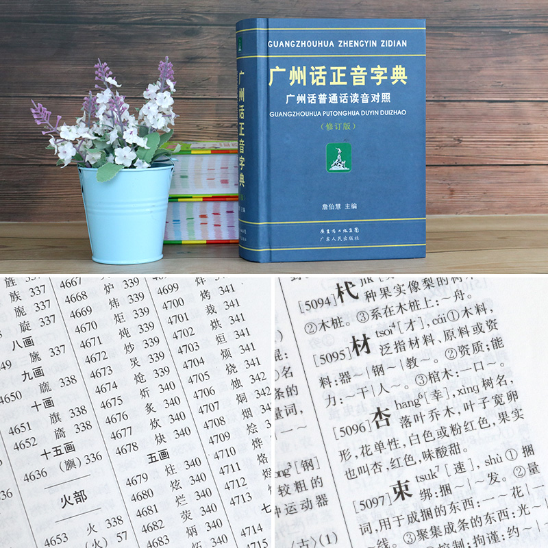 3册]现代粤语词典+20天学会粤语基础版+交际版 [正版]精装 广州话正音字典广州话普通话读音对照/作者:詹伯慧 广东话高清大图