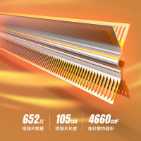 飞利浦(PHILIPS) 石墨烯取暖器 家用欧式快热炉电热暖风机电暖器浴室客厅全屋对流大面积升温取暖 AHR4166ZS
