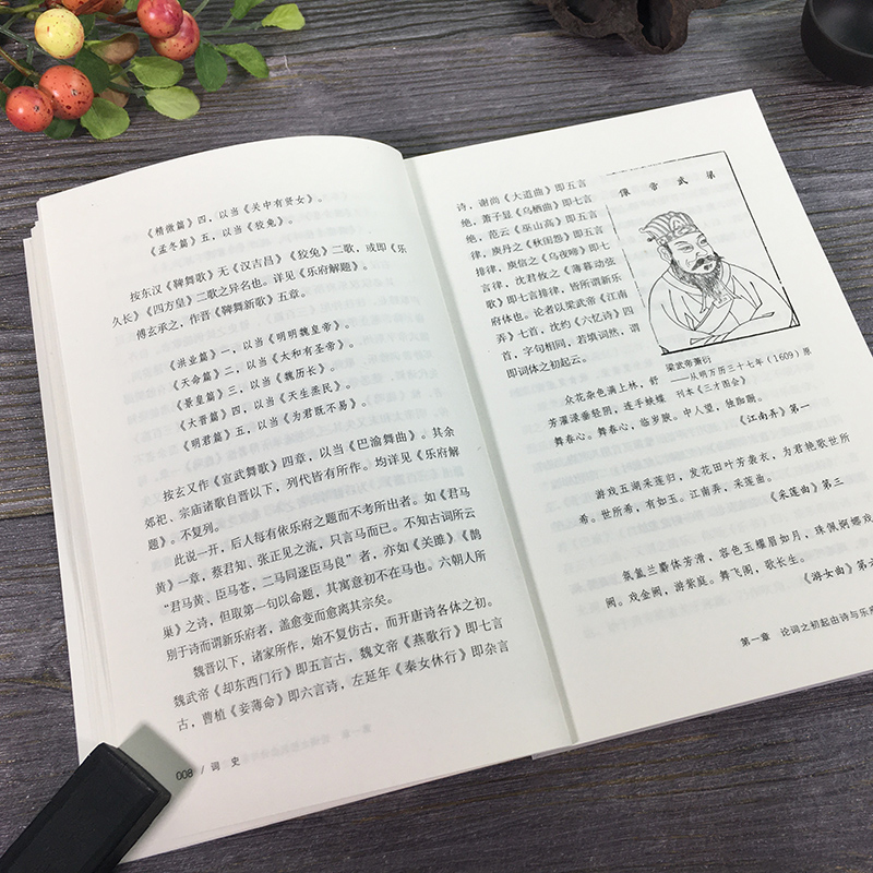 [醉染正版]词史 名家小史图文版 讲述隋唐南北宋元明清时期诗词的特点著名诗人诗词作品集赏析 中国古诗词古代文学古典小说高清大图