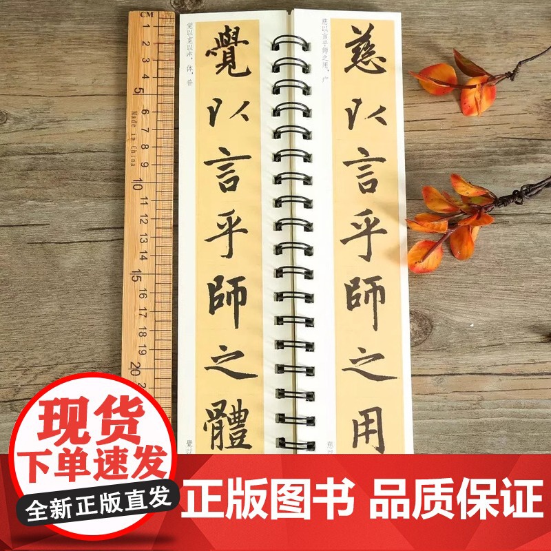赵孟頫胆巴碑 原帖楷书毛笔书法字帖经典碑帖临摹字卡赵孟俯赵体近距离对临入门附简体旁注高清大图