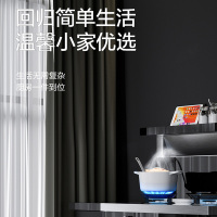 老板集团出品/名气 集成灶一体灶储物款 家用节能大吸力油烟机燃气灶储物柜一体机免洗易清洁JJZT-F10A天然气