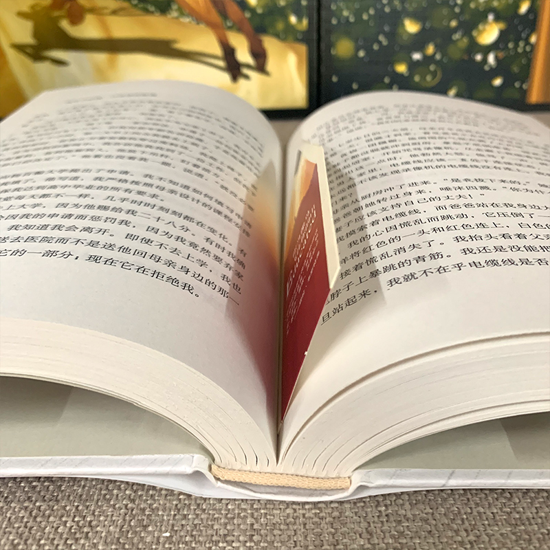 你当像鸟飞往你的山中文版正版 塔拉韦斯特弗 经典外国文学 我当你像鸟一样飞往你的山你当像鸟飞过山飞往那座山你当象鸟飞向高清大图