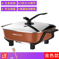 奥克斯(AUX)电炒锅多功能电热锅火锅锅家用煮饭炒菜一体锅蒸煮2-4-6人 【升级款】金色