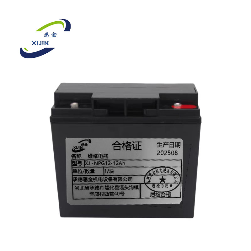 悉金 维修电瓶 XJ -NPG12-12Ah 块高清大图