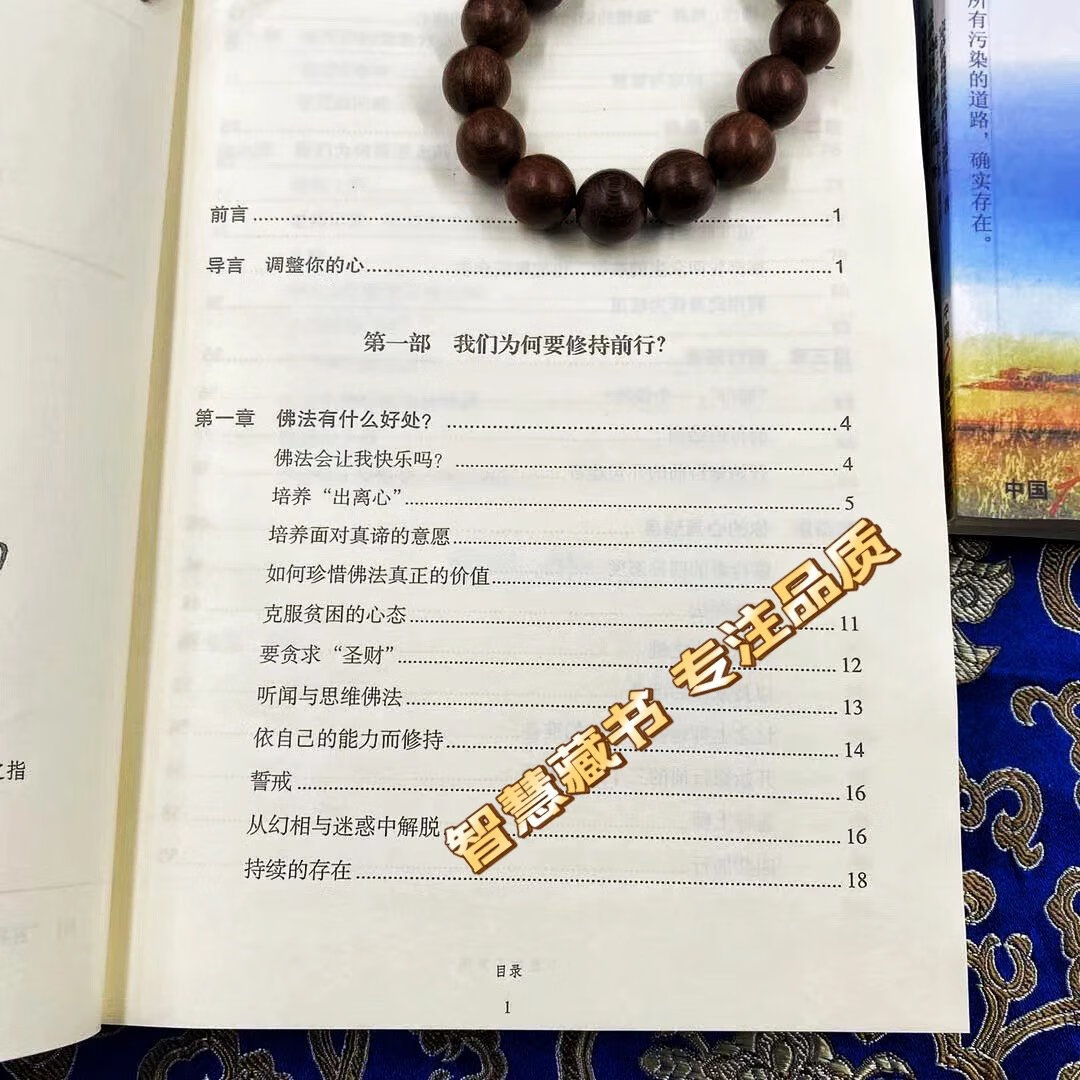 《人间是剧场》《不是为了快乐》《朝圣》《佛教的见地与修行》《正见佛陀的怔悟》宗萨蒋扬钦仁波切高清大图
