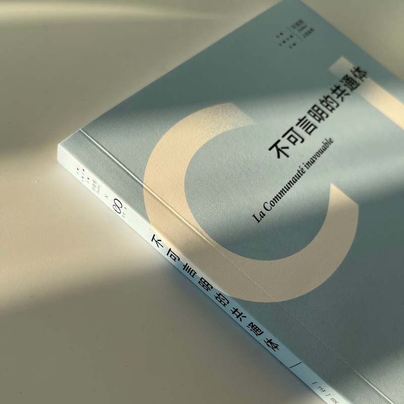 醉染图书不可言明的共通体9787532187898高清大图