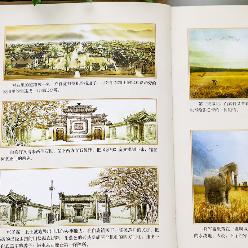 [醉染正版]白鹿原 原著精装典藏版完结版 茅盾文学奖得者陈忠实纪念出版20周年爱情 现当代农村青春文学小说 书籍排行高清大图