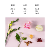 Amino mason阿蜜浓梅森 氨基酸植物精粹润泽护发素(樱花)450ml