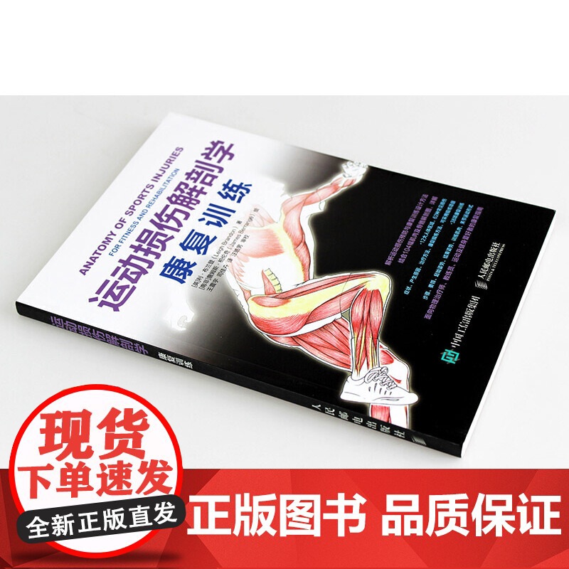 运动损伤解剖学 康复训练 [英]利·布兰登(Leigh Brandon) 解析运动损伤预防与康复训练设计方法 结合104高清大图