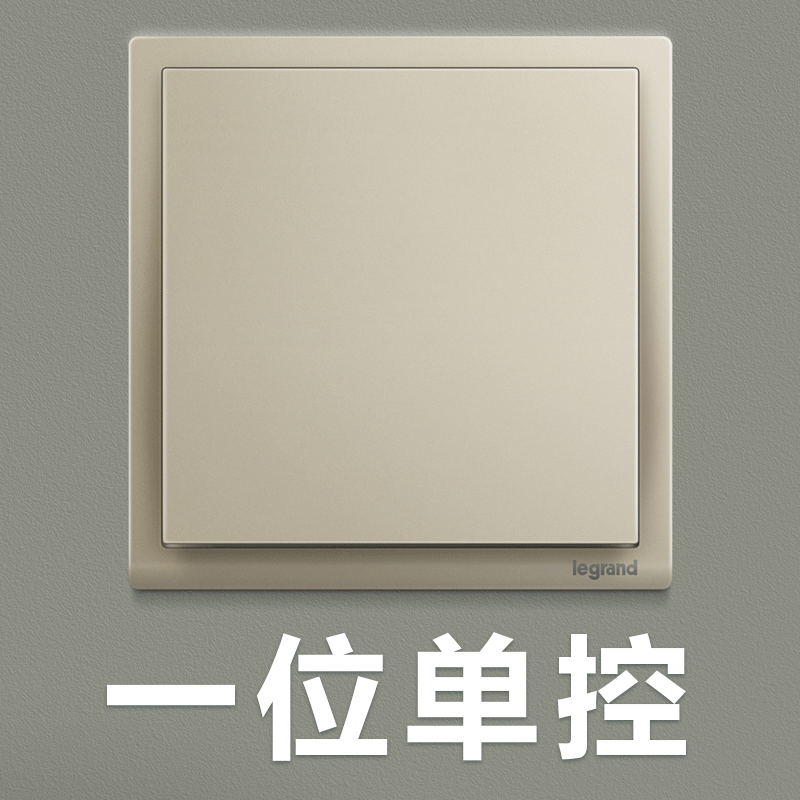 罗格朗(Legrand)tcl开关插座面板朗淳香槟金色5五孔USB三孔16A插座墙壁电源暗装86型带一开五孔开关