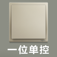 罗格朗(Legrand)tcl开关插座面板朗淳香槟金色5五孔USB三孔16A插座墙壁电源暗装86型带一开五孔开关
