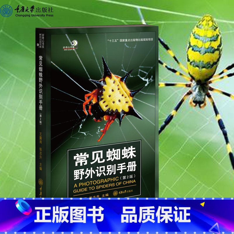 常见蜘蛛野外识别手册(第2版) 【正版】 常见蜘蛛野外识别手册(第2版)好奇心书系·野外识别手册系列 常见的蜘蛛57
