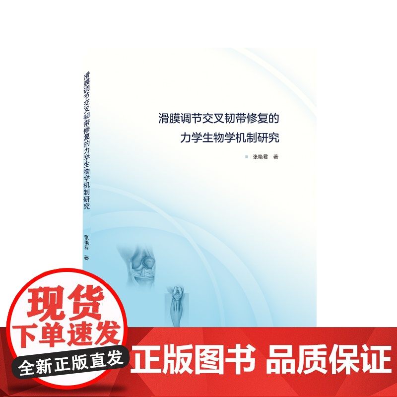 滑膜调节交叉韧带修复的力学生物学机制研究高清大图