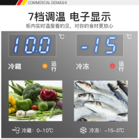 德玛仕商用四门冰柜全铜管立式冷柜不锈钢冰箱厨房四开门冰箱 (豪华款)四门全冷藏全铜管BG-900C-1D