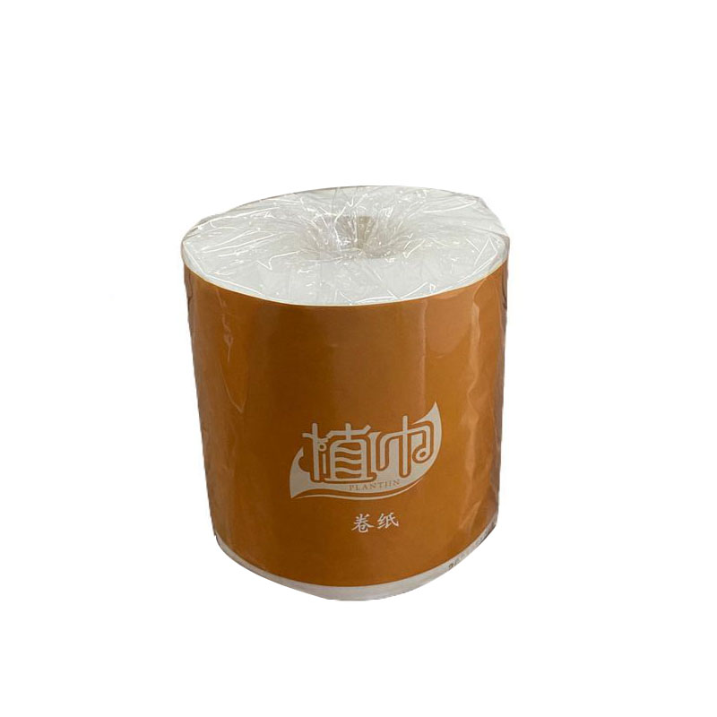 植巾(PLANTJIN)J260 180g四层 急速水溶卫生纸卷纸 10卷/提 (计价单位:提)高清大图